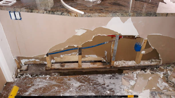 Best Water damage restoration experts  in Clifton Heights, PA