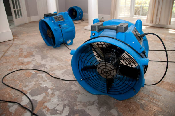 Best Water damage restoration near me  in Clifton Heights, PA