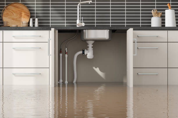 Best Fire Damage Restoration  in Clifton Heights, PA