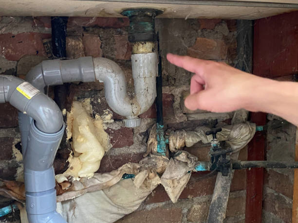 Best Flood restoration services  in Clifton Heights, PA