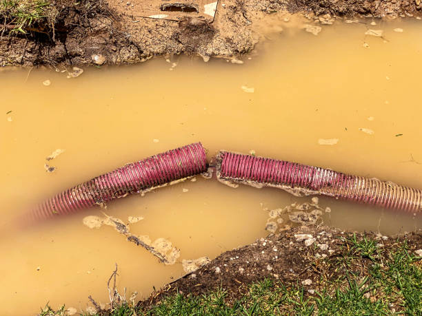 Best Flood restoration services  in Clifton Heights, PA