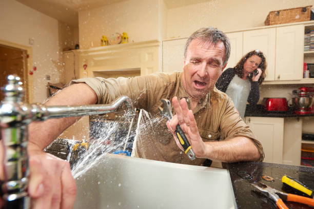 Best Local water damage restoration  in Clifton Heights, PA